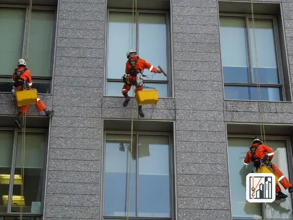 Cómo eliminar palomas de un edificio de forma legal